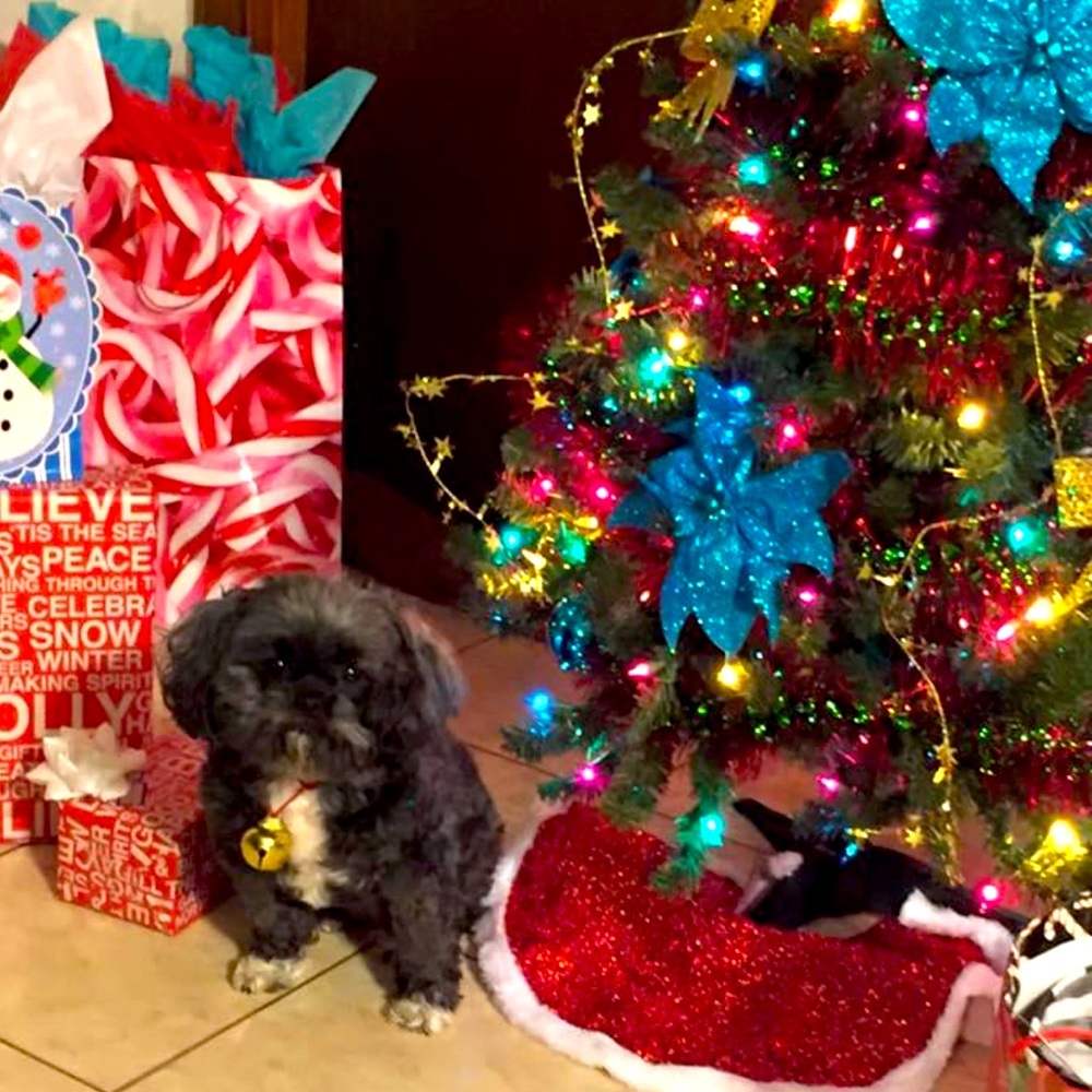 Meet your Posher, Nyema